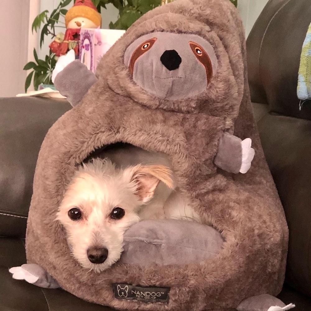 NANDOG Pet Gear Sloth Small Pet Bed
Cozy Warm Super Soft Safe Space for your Pup